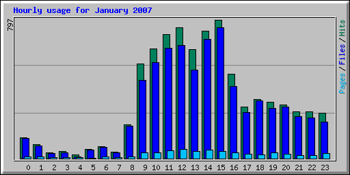 Hourly usage for January 2007