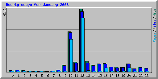 Hourly usage for January 2008